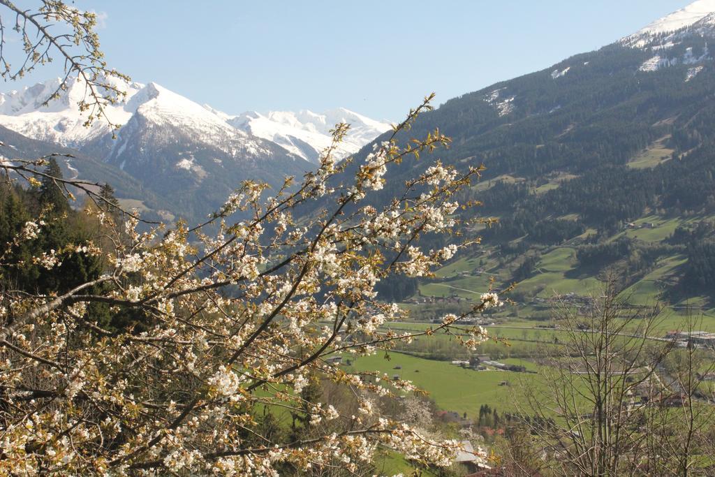 Bauernhof Grussberggut Villa Bad Hofgastein Kültér fotó